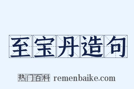 至宝丹造句是什么意思的图片